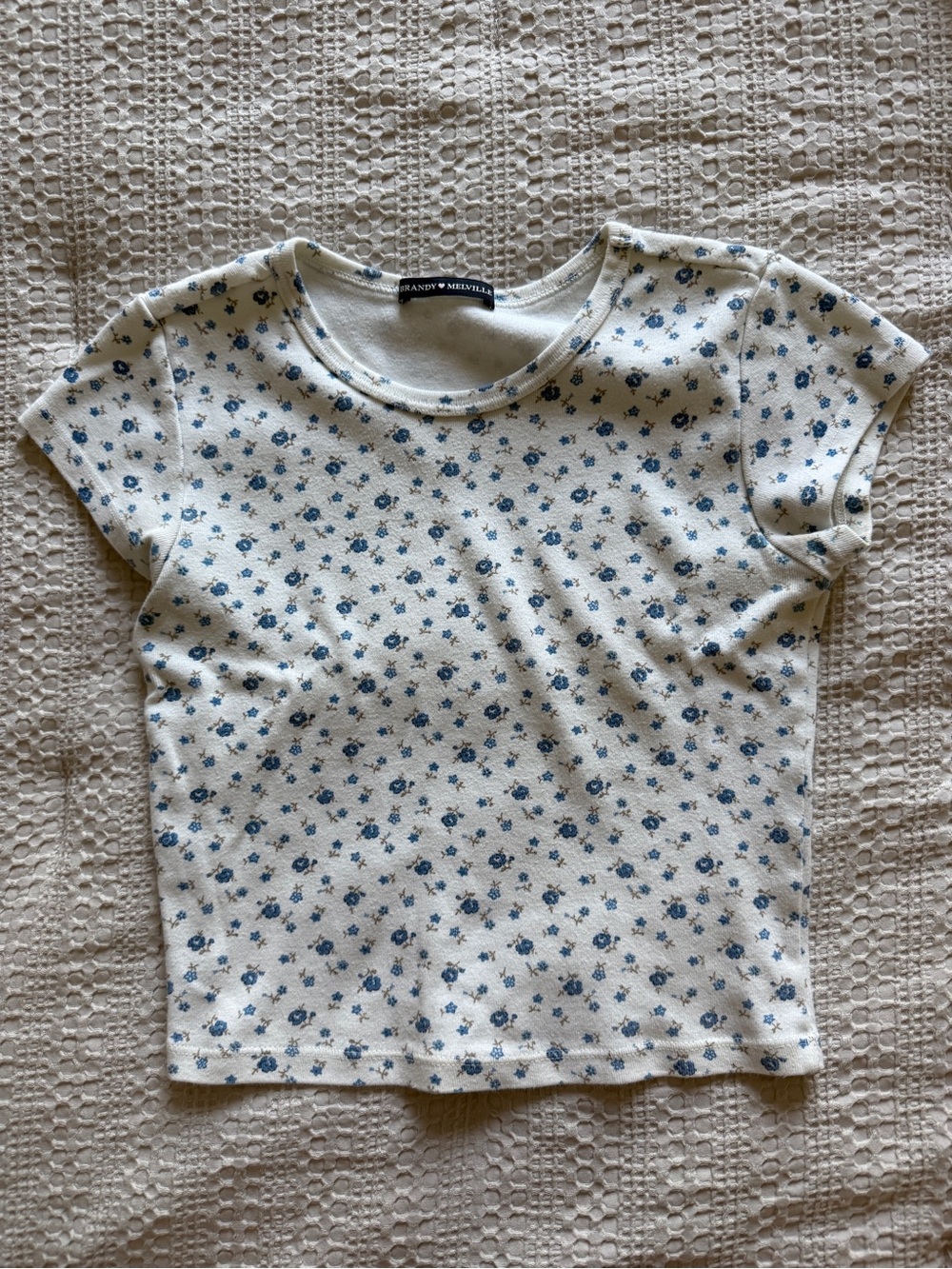 Brandy Melville Cream Tee with Blue Floral Print